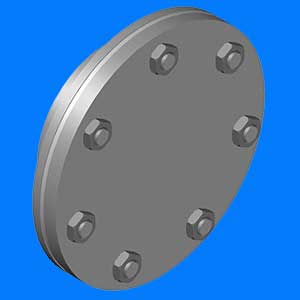 Inspection Flange